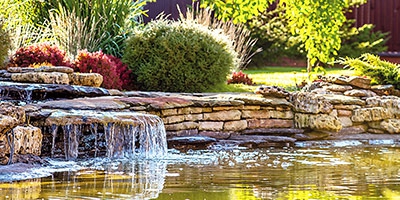 Alcuni consigli su come mantenere l'acqua nel laghetto da giardino pulita e trasparente. Hai già sentito parlare di batteri? Funzionano benissimo!!!