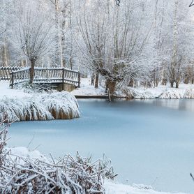 Trattamento biologico per la pulizia e manutenzione di stagni e laghetti (uso autunno-inverno) 500g