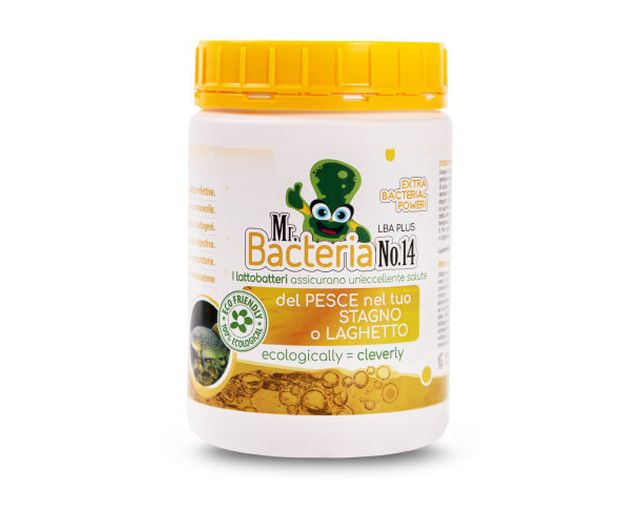 Mr. Bacteria No.14 I lattobatteri assicurano un'eccellente salute